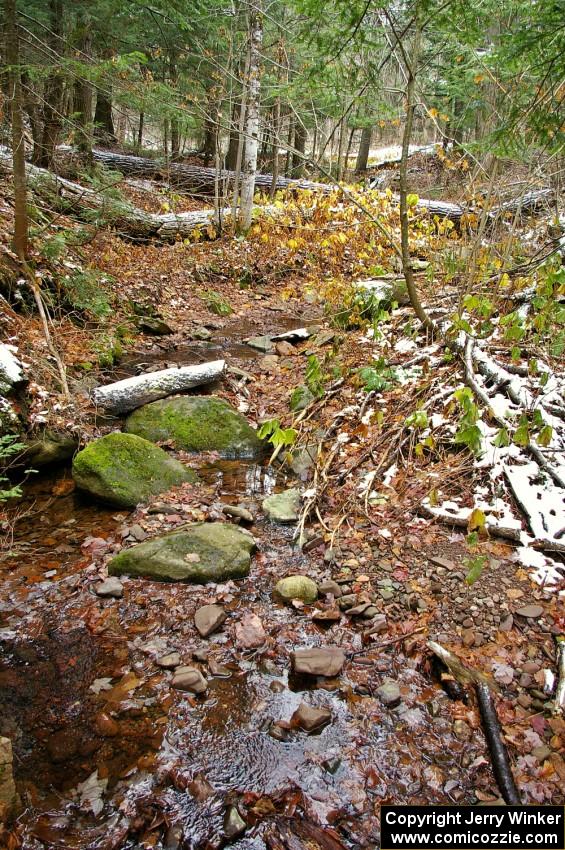 Scenery along the Little Carp River