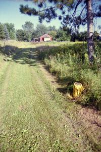 The tree stump painted yellow after J.B. Niday hit it testing his VW GTI.