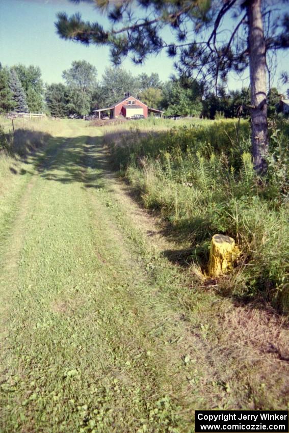 The tree stump painted yellow after J.B. Niday hit it testing his VW GTI.