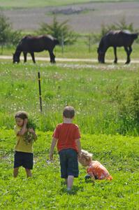 Kids playing in the field across from the rallycross course.