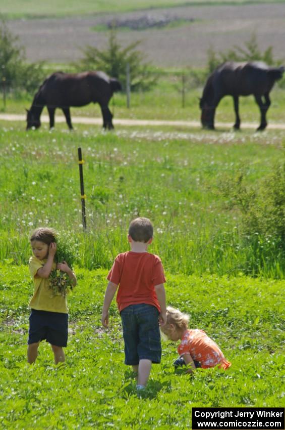 Kids playing in the field across from the rallycross course.