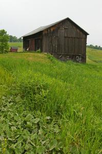 Barn in Tioga Co., PA.