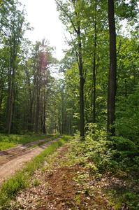 A section of SS6 was essentially fast two-track road.