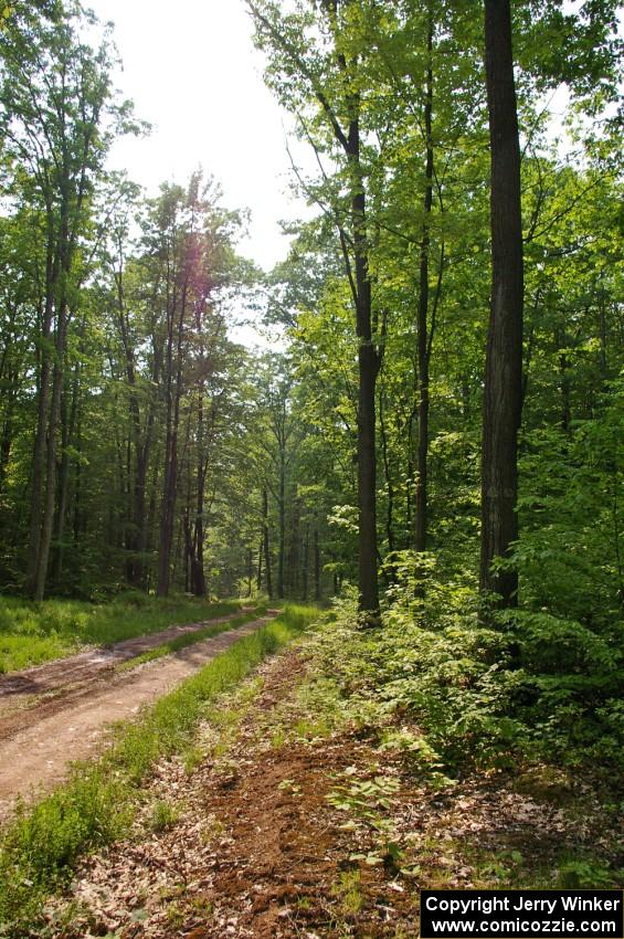 A section of SS6 was essentially fast two-track road.