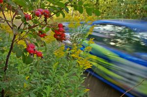 The blue Travis Pastrana / Christian Edstrom Subaru WRX STi adds to the local scenery.