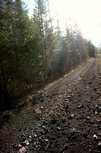 Adam Markut / John Nordlie Eagle Talon in the distance on SS1.