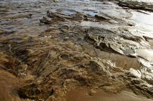 Detail of limestone formations on the shoreline of the Keewenaw Peninsula (1).