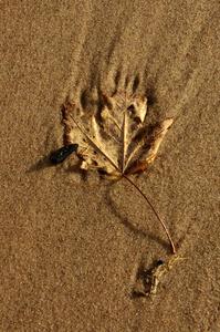 Autumn comes to a beach on the Keeweenaw Peninsula.