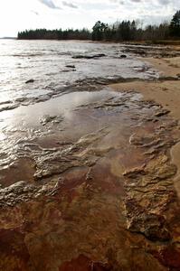 Detail of limestone formations on the shoreline of the Keewenaw Peninsula (2).