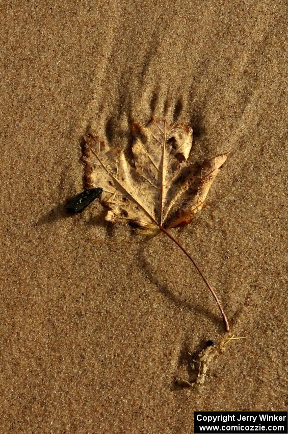 Autumn comes to a beach on the Keeweenaw Peninsula.