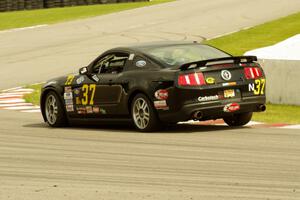 Cheyne Daggett's T3 Ford Mustang