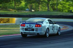 Emmanuel Anassis / Anthony Massari Mustang Boss 302R GT