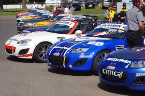 Mazda MX-5s lined up for the Saturday race