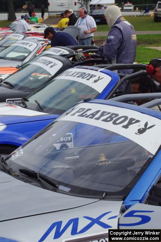 Mazda MX-5s lined up for Saturday morning practice