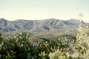 View of the mountain roads of SS2. Note the roughness of the road in the foreground.