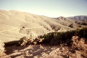 A view of the Prescott Forest.