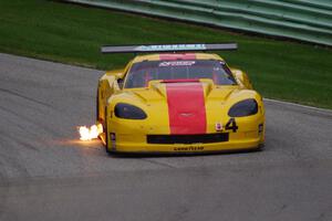 Tony Ave's Chevy Corvette