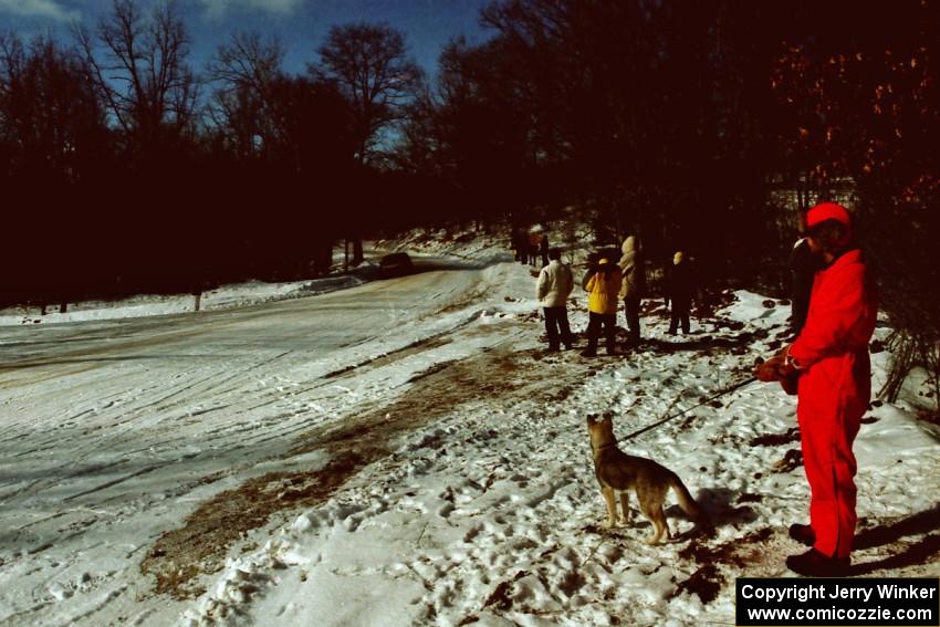 Anxious spectators (and dog) await the VW GTI of Karl Scheible / Gail McGuire at the SS1 spectator location.