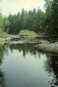 A stream near the road on the drive to Grafton, SS3 and SS4.