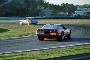 Kat Teasdale's Chevy Corvette