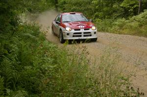 Doug Shepherd / Karen Wagner rocket down a straight on SS10 in their Dodge SRT-4.