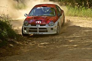 Doug Shepherd / Karen Wagner beautifully apex an uphill 90-right on SS12 in their Dodge SRT-4.