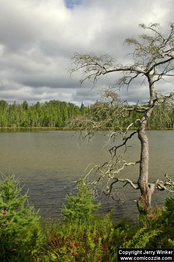 Big Bog Lake at Lake Bemidji State Park.