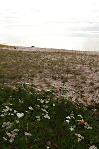 Shoreline of Lake Superior on a cold mid-October morning just outside of Betsy, MI.