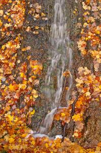 Detail of Haven Falls.