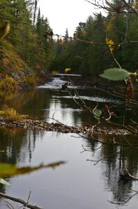 A small 3 ft. drop of the Montreal River just above the Lower Montreal River Falls.(1)