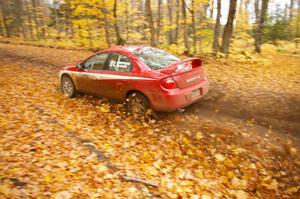 Doug Shepherd / Karen Wagner drift through leaf filled sweeper on SS2, Beacon Hill, in their Dodge SRT-4.