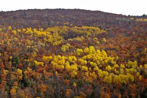 View atop Brockway Mountain.