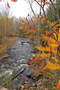 A colorful stream near the Michigan/Wisconsin border.