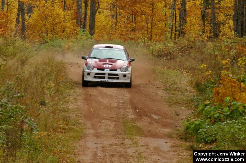 Doug Shepherd / Karen Wagner blast down a straight at speed on Gratiot Lake 1, SS10, in their Dodge SRT-4.