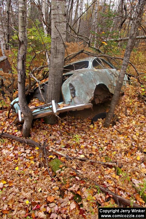 By the size of the tree growing out the trunk, this Karmann-Ghia has been in the same spot in the woods for at least 20 years!