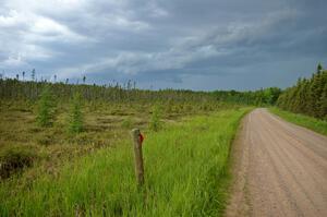 Storm clouds started moving in prior to the start of SS2.