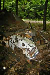 Wrecked 1954 Buick in the woods off Anchor-Mattson Rd.(1)