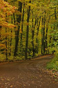 Beautiful scenery on Beacon Hill-Toivola Road.