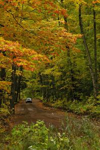 Pat Moro / Ole Holter at speed down a straight on Beacon Hill, SS2, in their Subaru WRX STi.