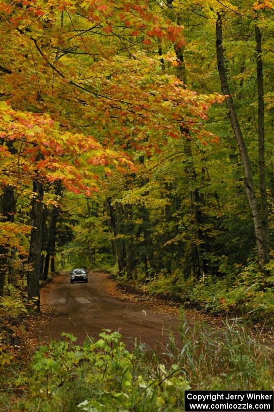 Pat Moro / Ole Holter at speed down a straight on Beacon Hill, SS2, in their Subaru WRX STi.