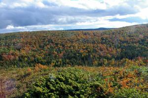 Foliage in full color atop Brockway Mountain. (2)