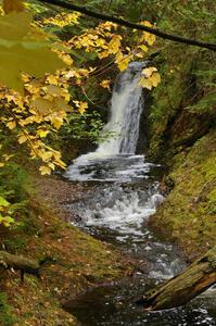 Unnamed Falls of Silver Creek