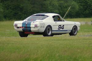 Brian Kennedy's Ford Shelby GT350