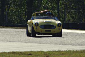 Jeff Johnk's Austin-Healey 3000