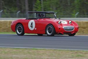 Tom Daly's Austin-Healey Sprite