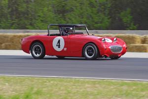 Tom Daly's Austin-Healey Sprite