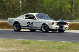Brian Kennedy's Ford Shelby GT350
