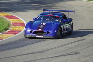 Chuck Cassaro's Panoz GTS