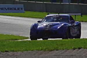 Chuck Cassaro's Panoz GTS