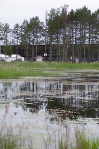 View of the infield pond